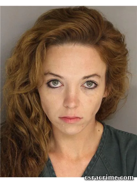 Theresa Ryan booking photo
