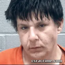 Theresa Wolgast booking photo