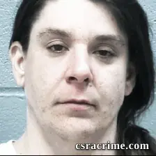 Theresa Wolgast booking photo