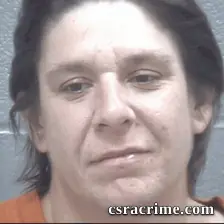 Theresa Wolgast booking photo