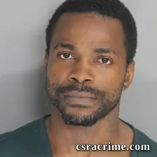Theron Tyler booking photo