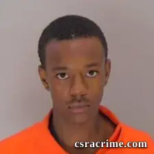 Thomas Jerome Wells booking photo