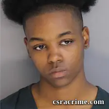 Tiana Buckson booking photo