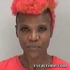 Tielasha Dixon booking photo
