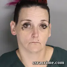 Tiffany Dixson booking photo