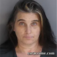 Tiffany Gibson booking photo