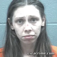 Tiffany Lykins booking photo