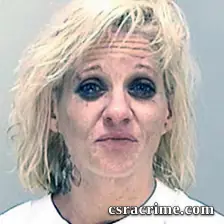 Tiffany Stein booking photo