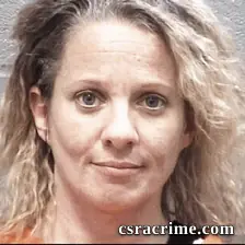 Tiffany Stein booking photo