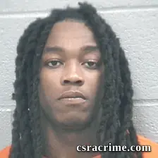 Timmy Steed JR booking photo