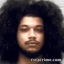 Timothy Brown booking photo