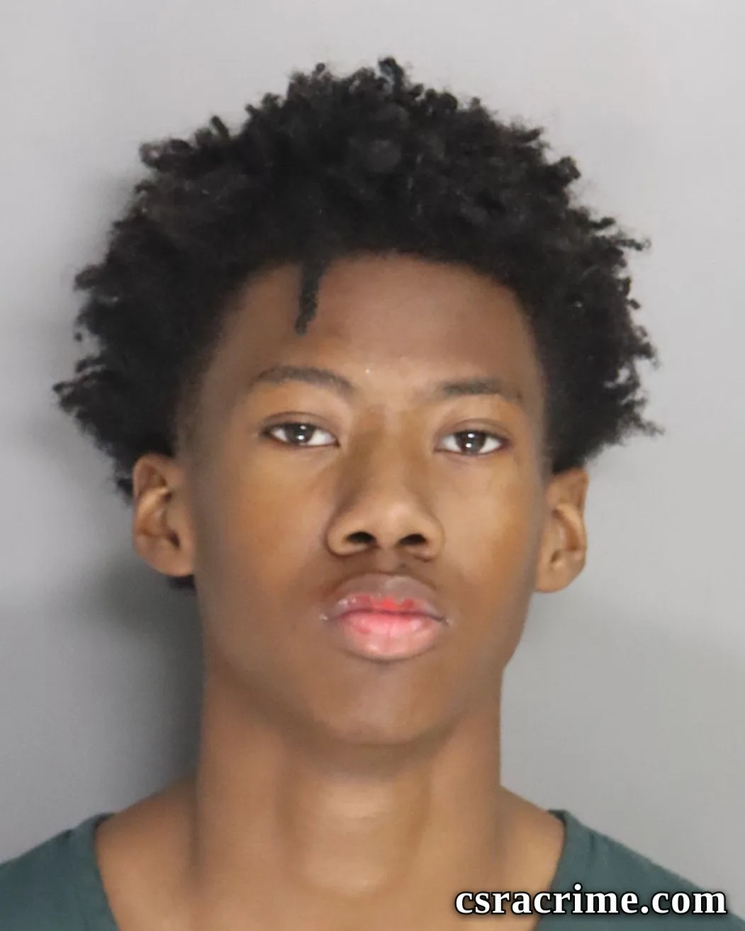 Timothy Harris booking photo