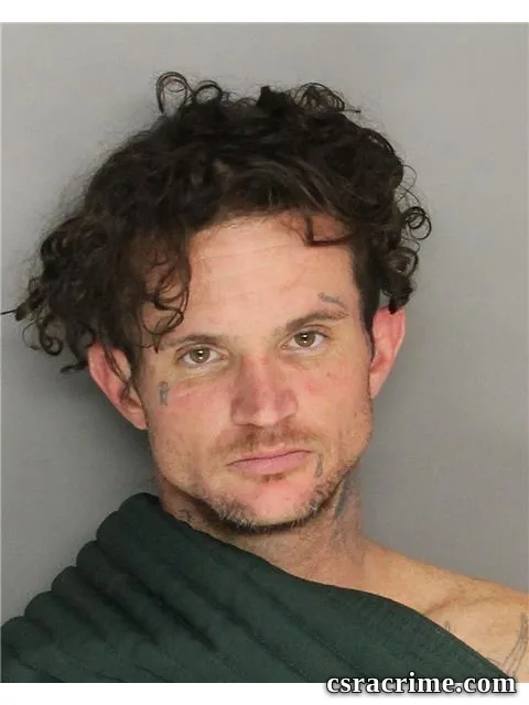 Timothy Honeycutt booking photo