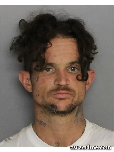 Timothy Honeycutt booking photo