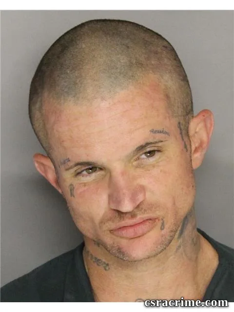 Timothy Honeycutt booking photo