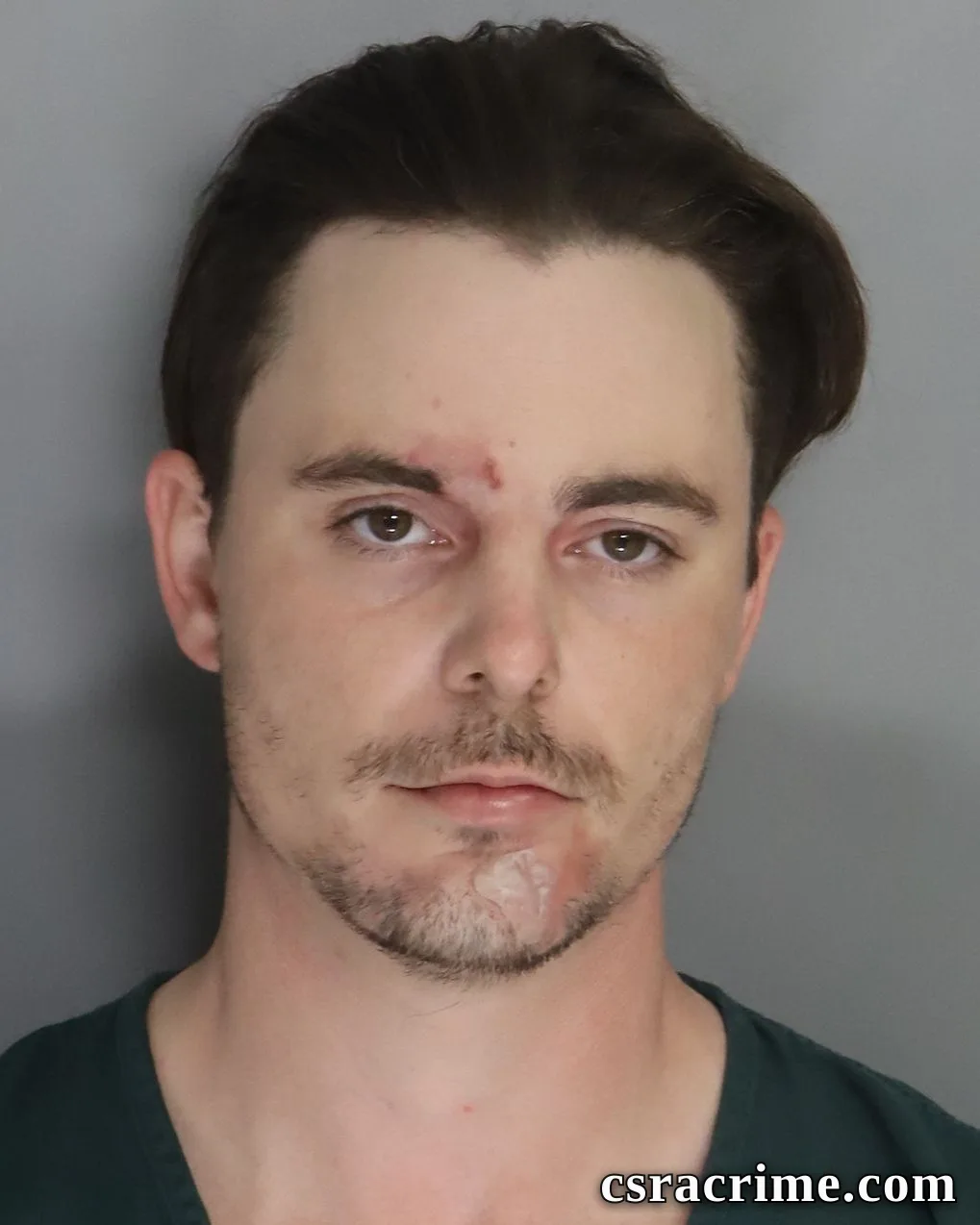 Timothy Johnson booking photo