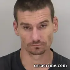 Timothy Lee Cheeks booking photo