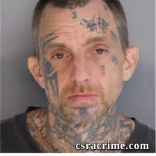 Timothy Metrakos booking photo