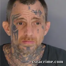 Timothy Metrakos booking photo