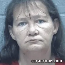 Tina Brewer booking photo