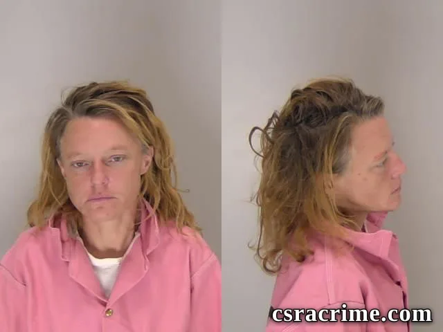 Tina Davis booking photo