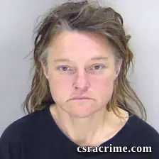 Tina Davis booking photo