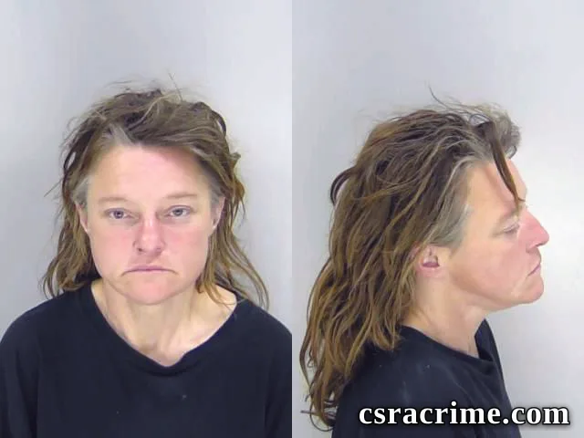 Tina Davis booking photo