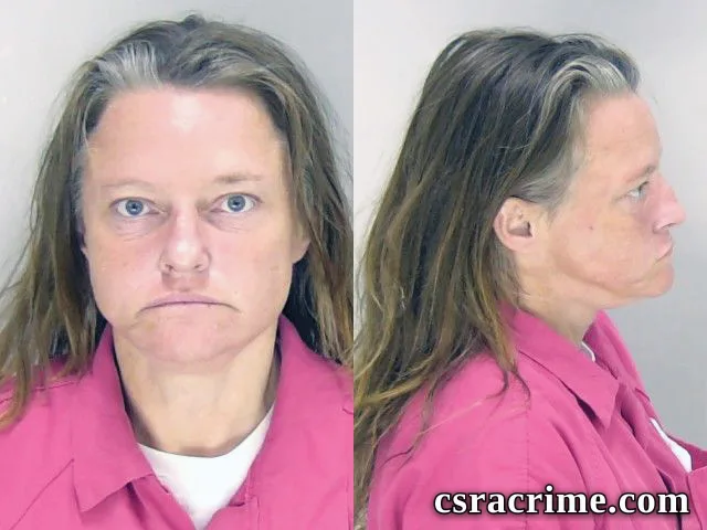 Tina Davis booking photo