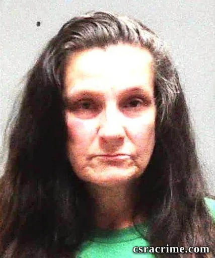 Tina Denise Ellis booking photo