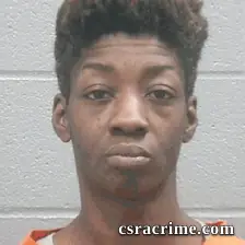 Tina Garnett booking photo