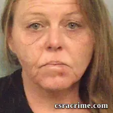 Tina Louise Lowery booking photo