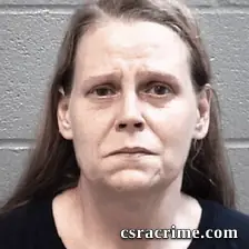 Tina Scoggins booking photo