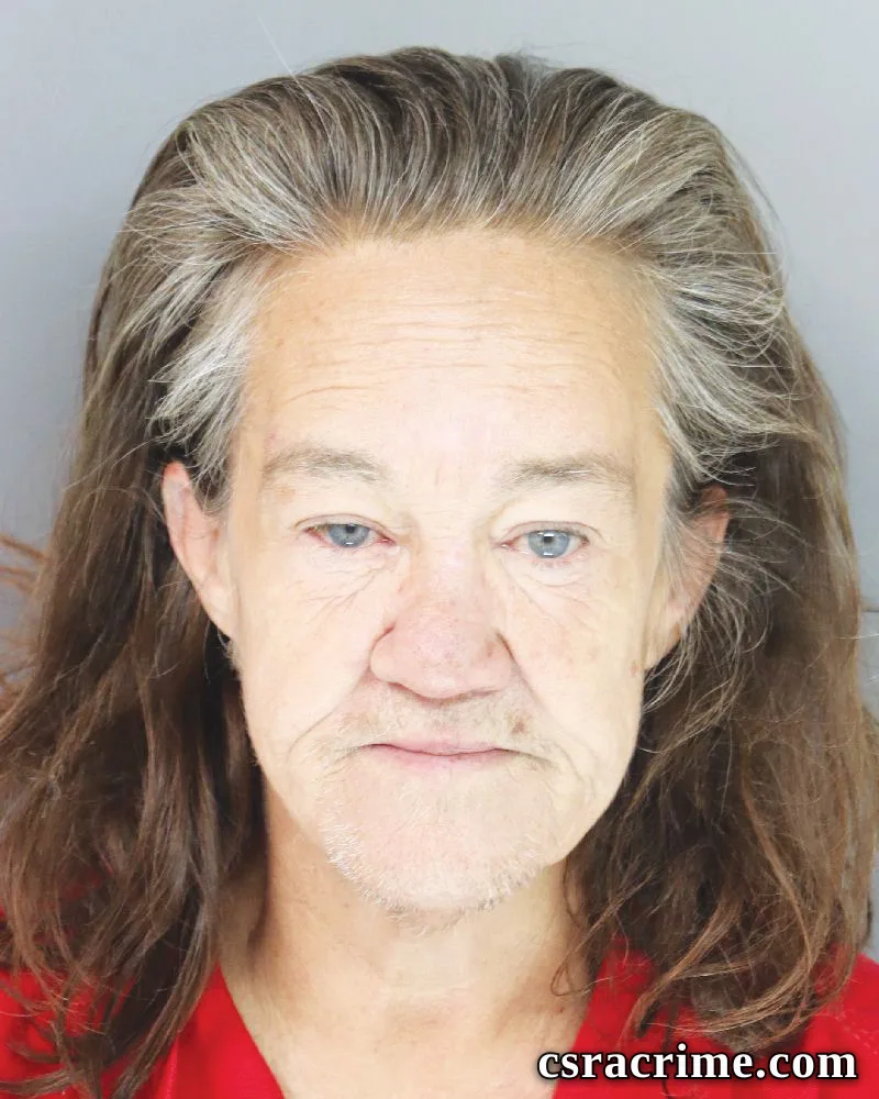 Tina Sherlock booking photo