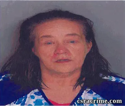 Tina Sherlock booking photo