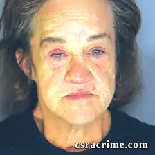 Tina Sherlock booking photo