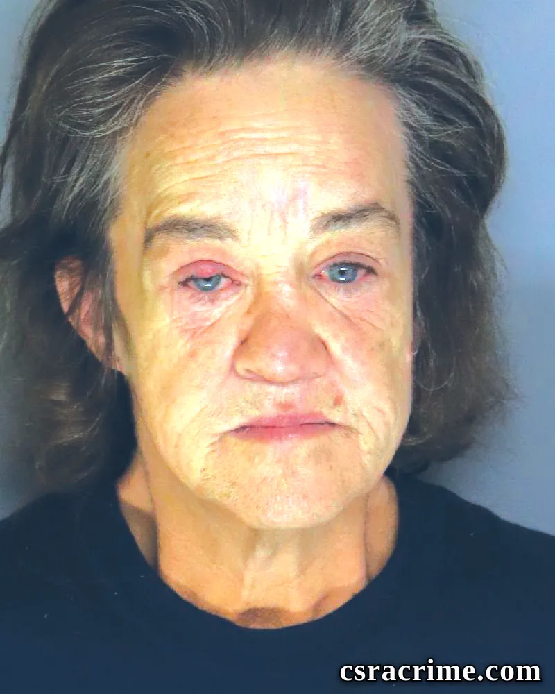 Tina Sherlock booking photo