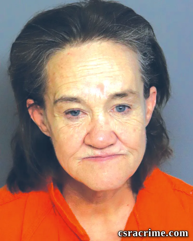 Tina Sherlock booking photo