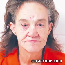 Tina Sherlock booking photo