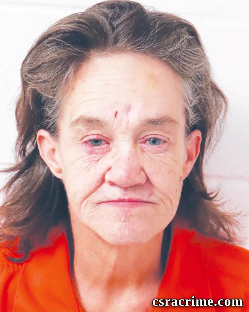 Tina Sherlock booking photo