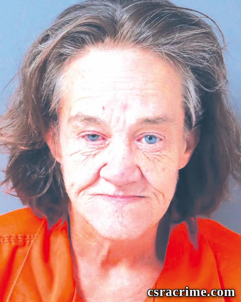Tina Sherlock booking photo