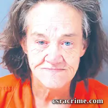 Tina Sherlock booking photo