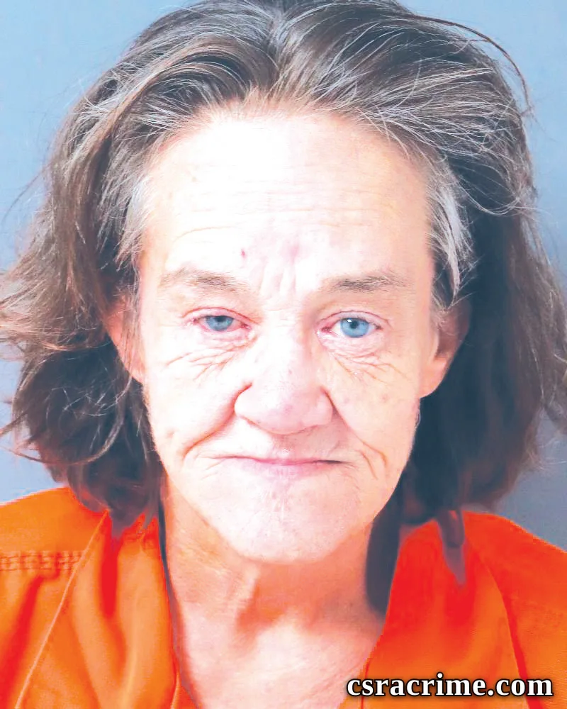 Tina Sherlock booking photo