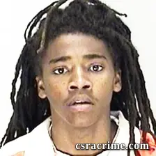 Tioje Lee booking photo