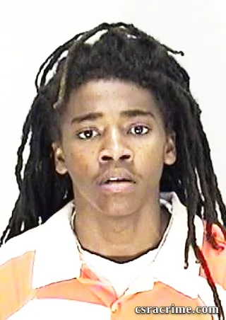 Tioje Lee booking photo