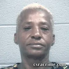 Tira Johnson booking photo