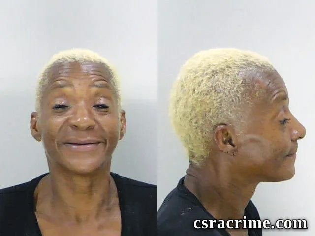 Tira Johnson booking photo