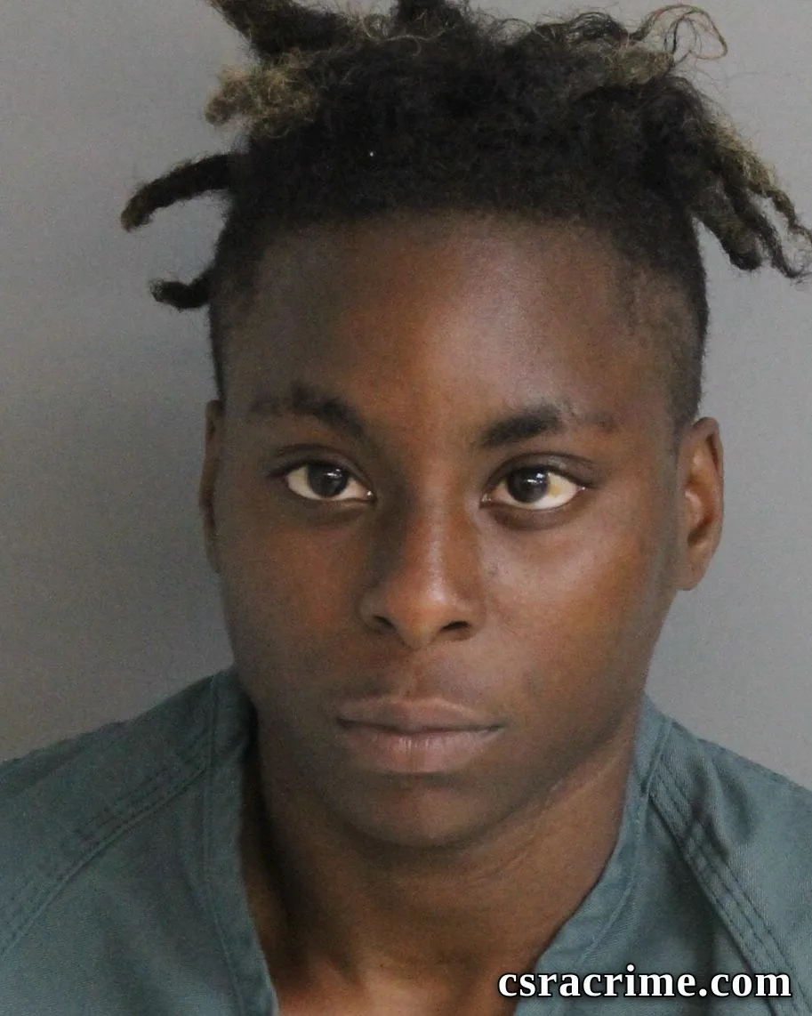 Tisha Johnson booking photo