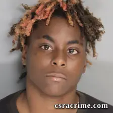 Tisha Johnson booking photo