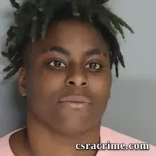 Tisha Johnson booking photo