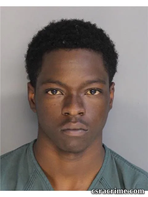 Toby Fuewell booking photo